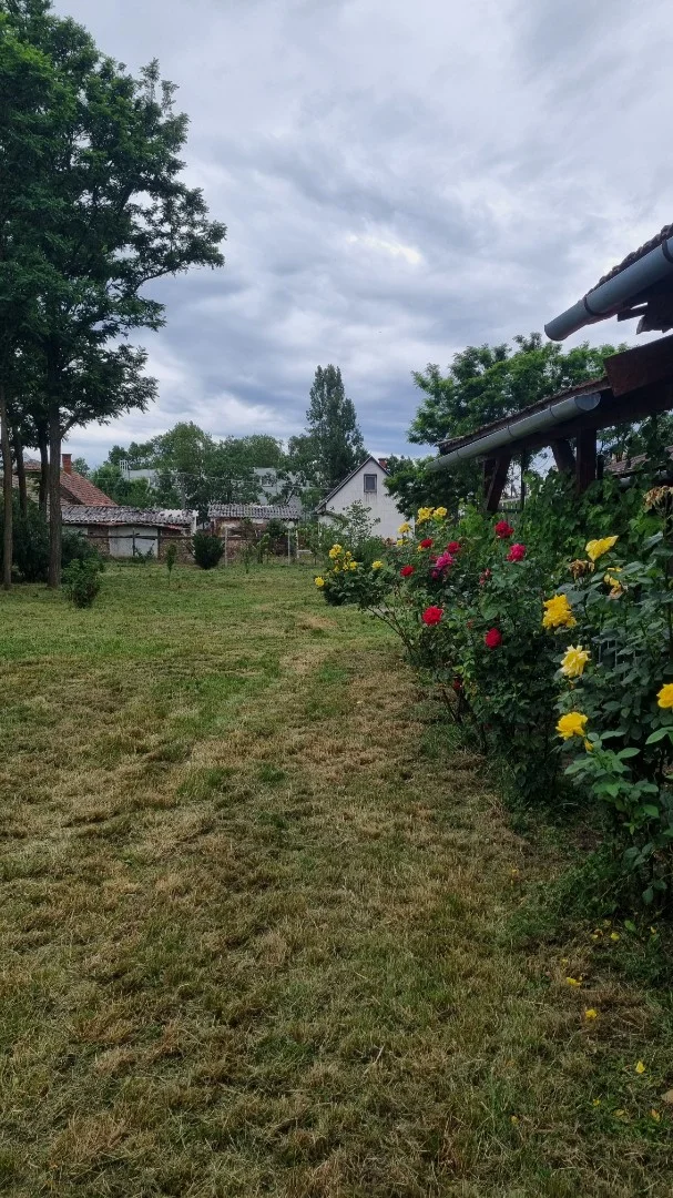 Eladó családi ház Füzesgyarmat Széchenyi - Kép 3