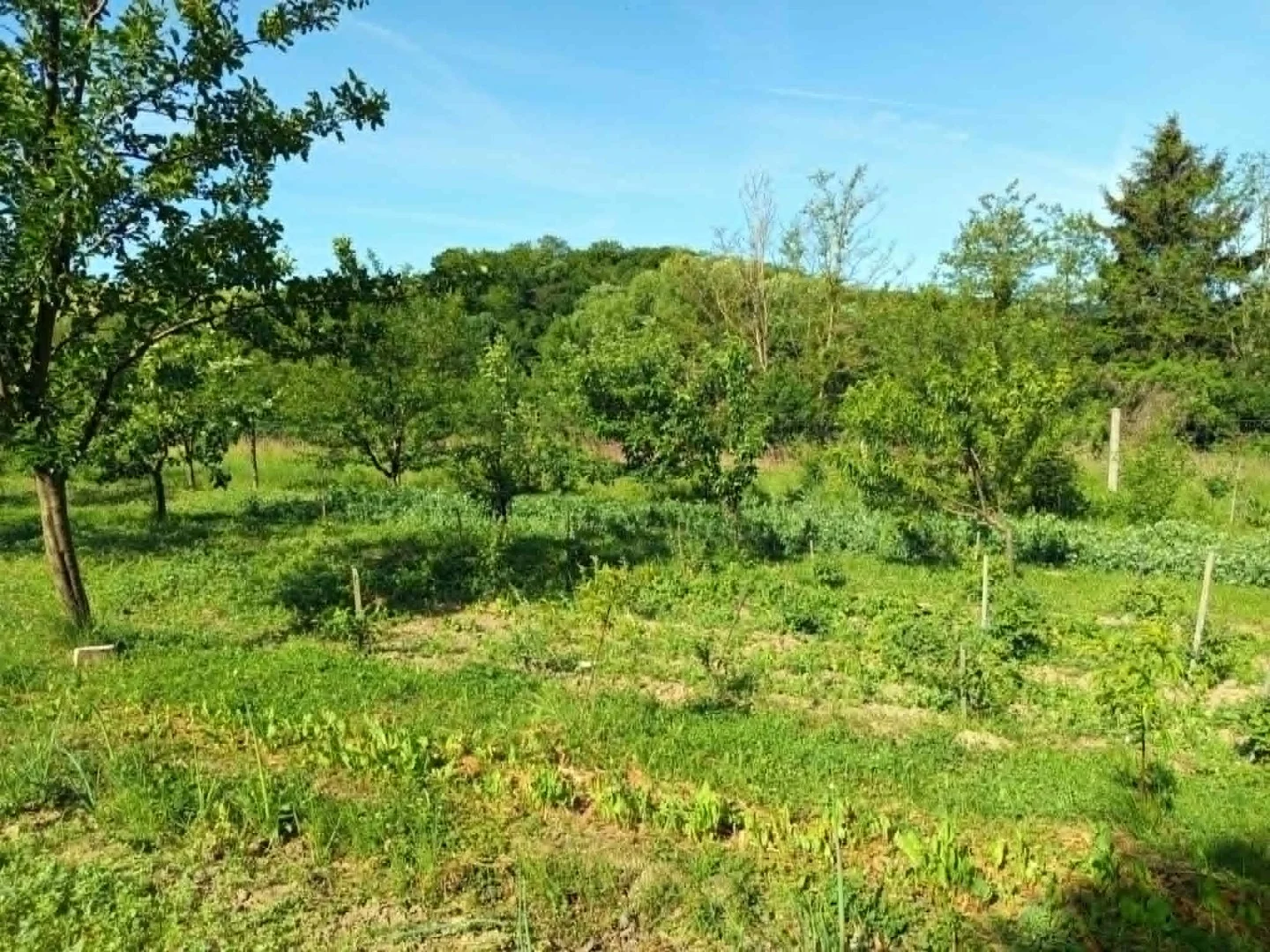 Eladó családi ház Pénzesgyőr - Kép 19