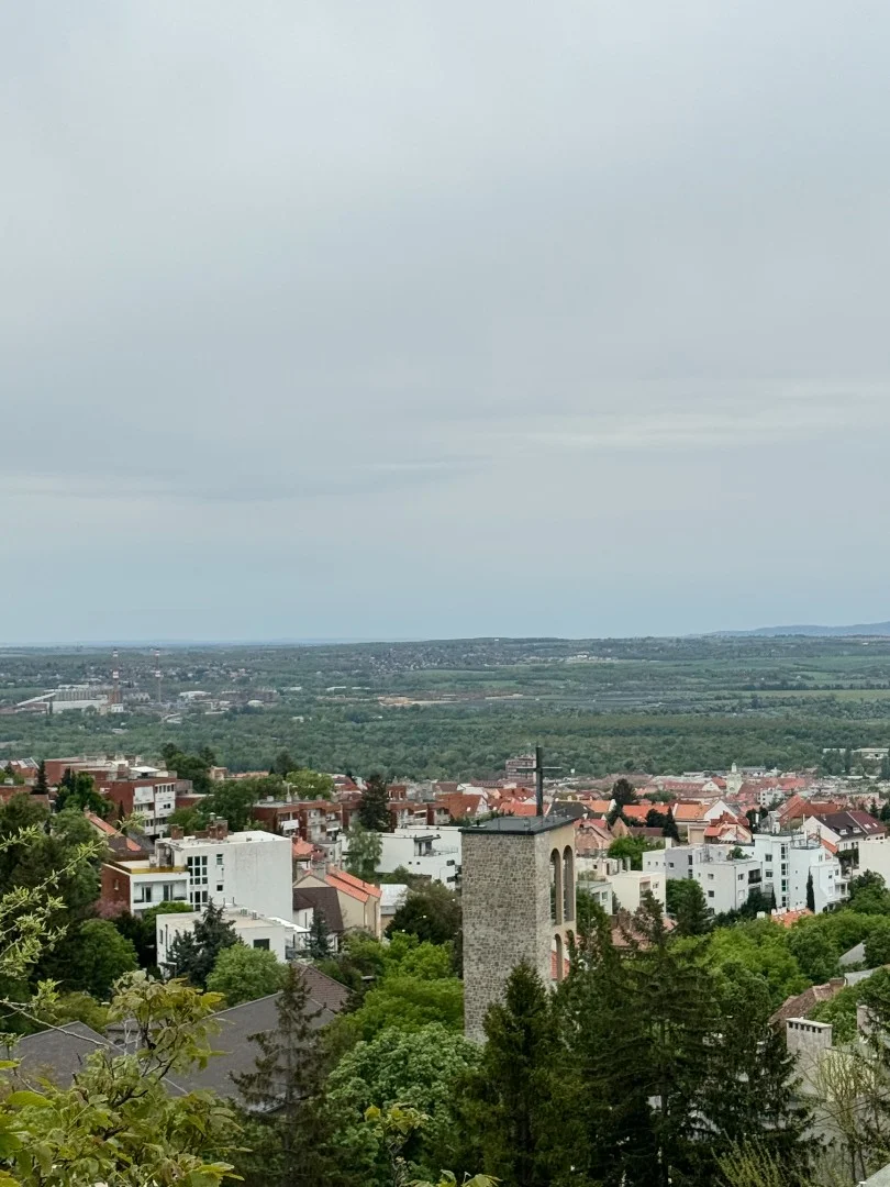 Eladó tégla lakás Pécs Somfa - Kép 9