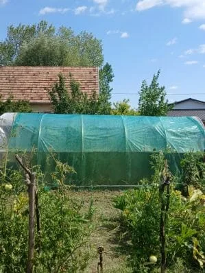 Eladó önálló nyaraló nyaraló / üdülő Dunavecse - Kép 11