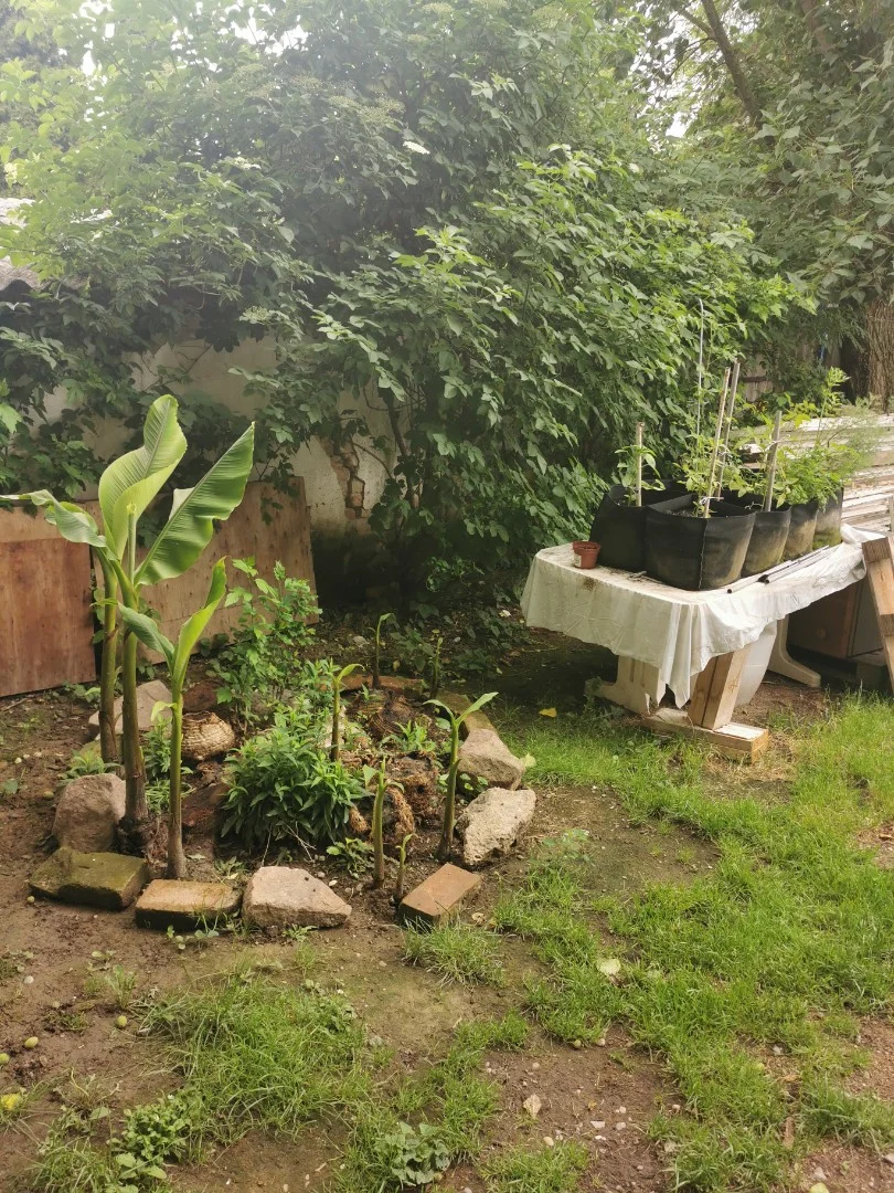 Eladó családi ház Gerde Béke - Kép 4