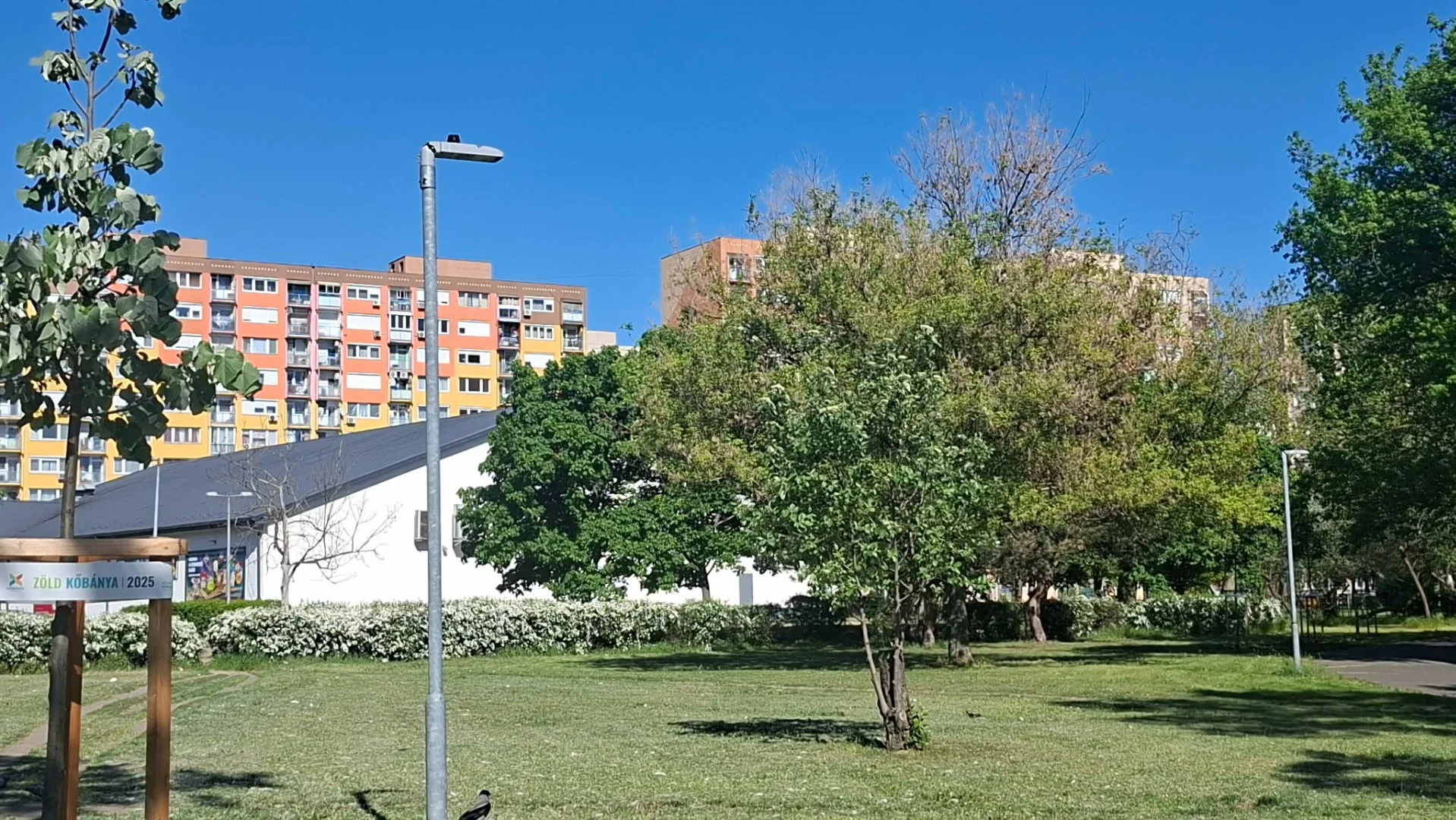 Eladó panel lakás Budapest 10. ker. Gőzmozdony - Kép 8