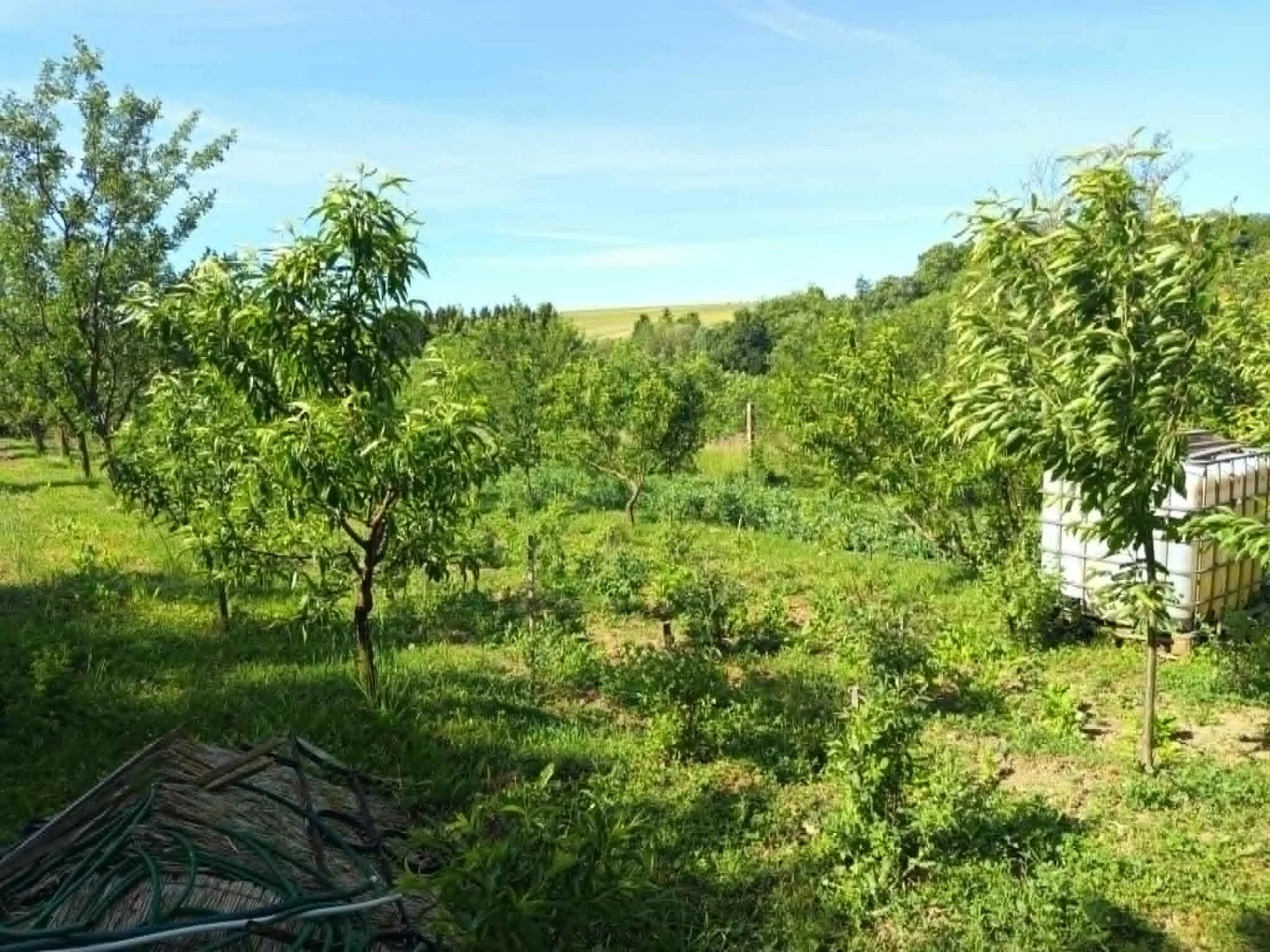 Eladó családi ház Pénzesgyőr - Kép 20