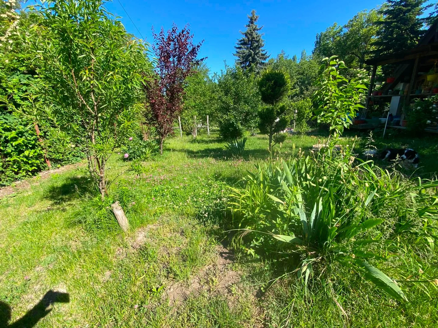 Eladó önálló nyaraló nyaraló / üdülő Adony - Kép 18