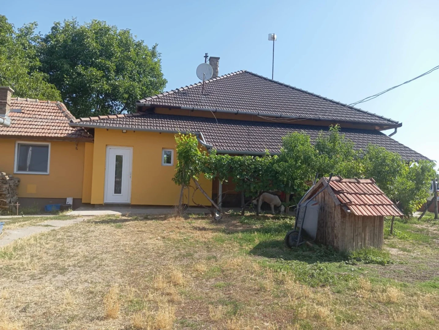 Eladó tanya mezőgazdaság Jászkarajenő Belsőjenő