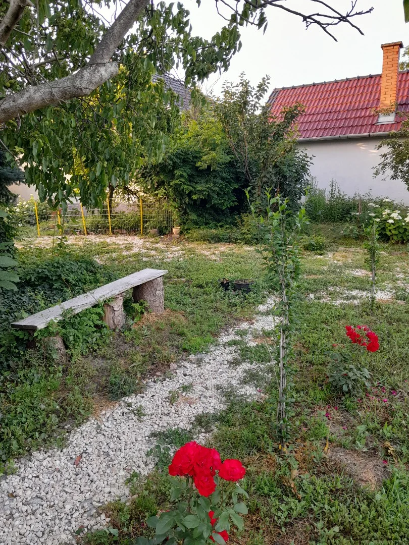 Eladó családi ház Újkígyós Iskola - Kép 8