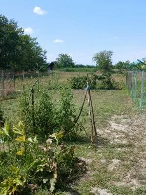 Eladó önálló nyaraló nyaraló / üdülő Dunavecse - Kép 10