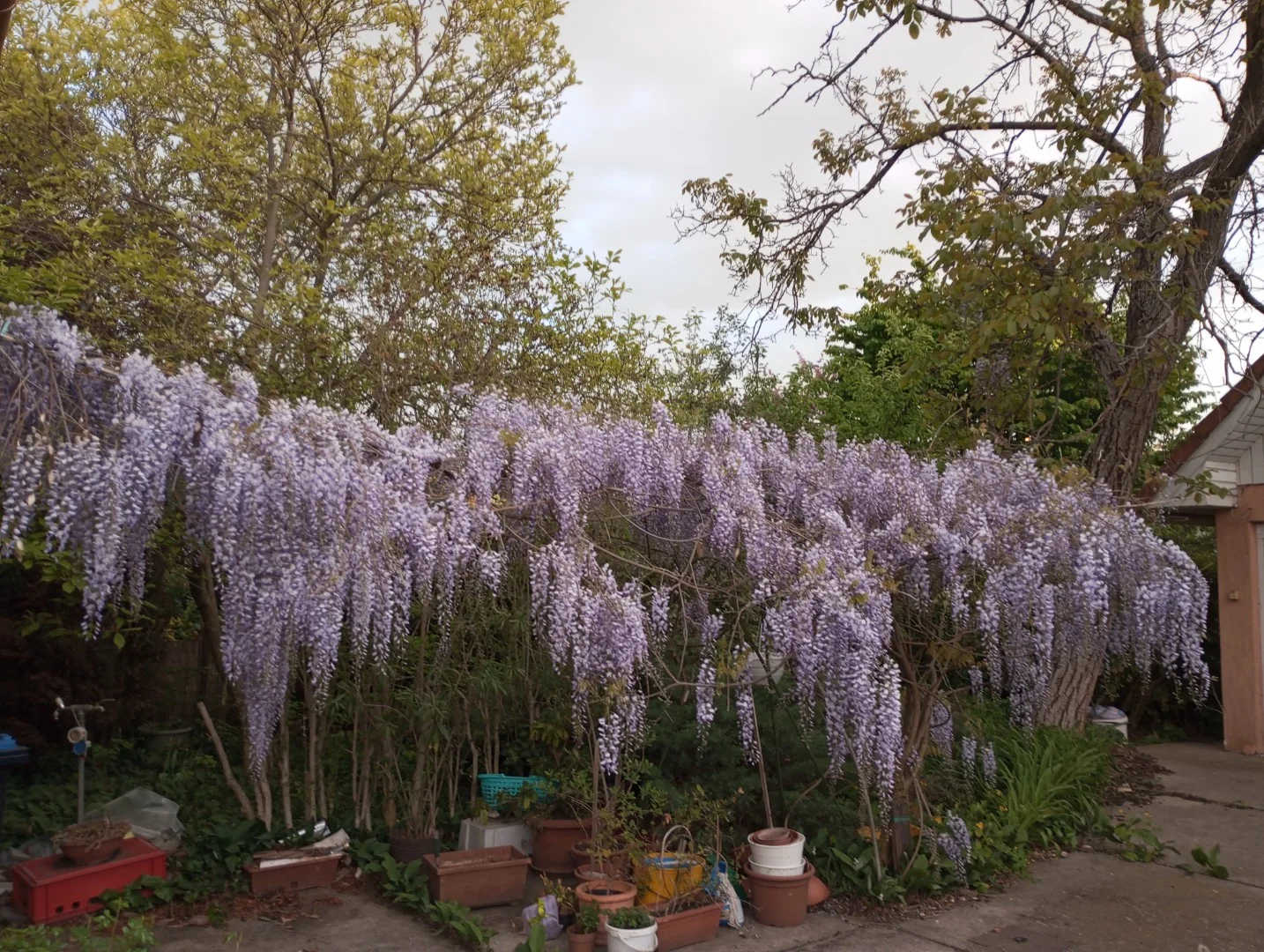 Eladó ikerház Budapest 17. ker. - Kép 12