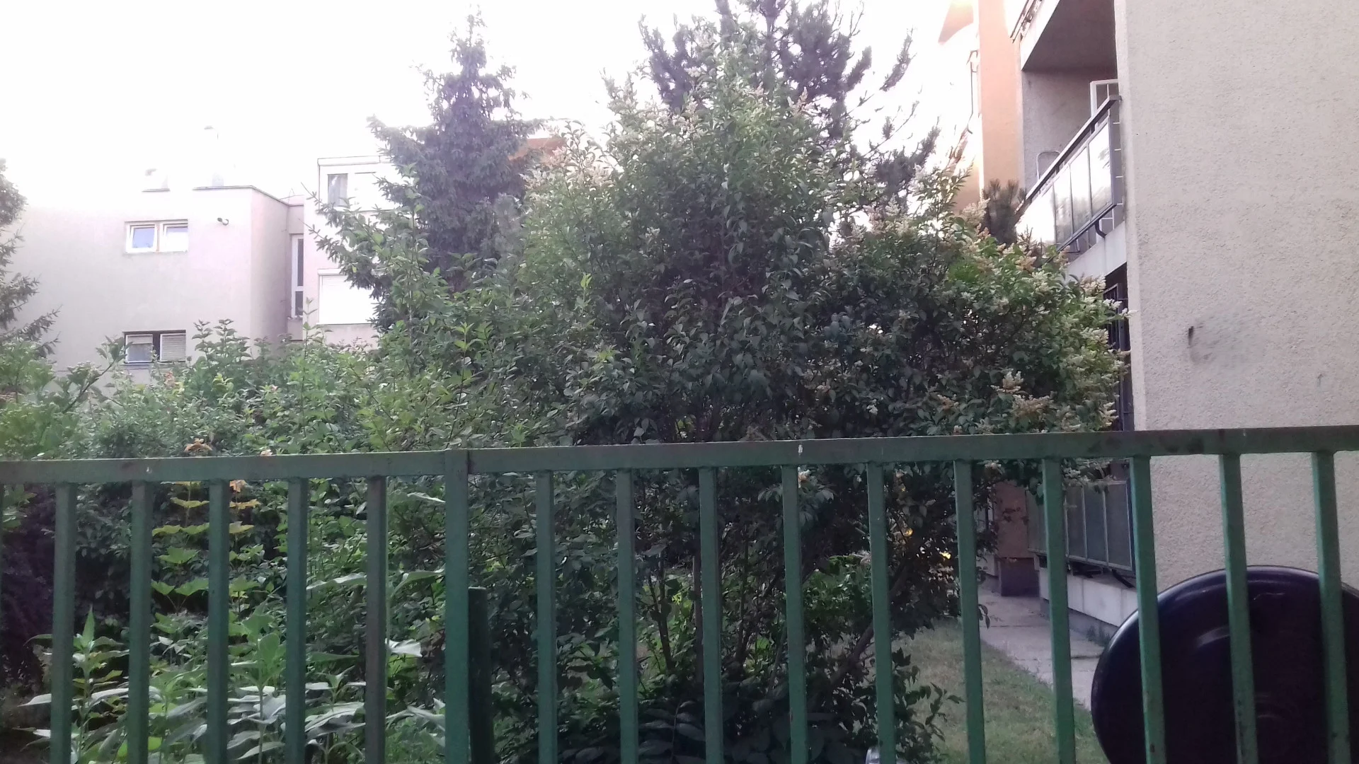 Eladó tégla lakás Budapest 15. ker. Csorvás utca - Kép 19