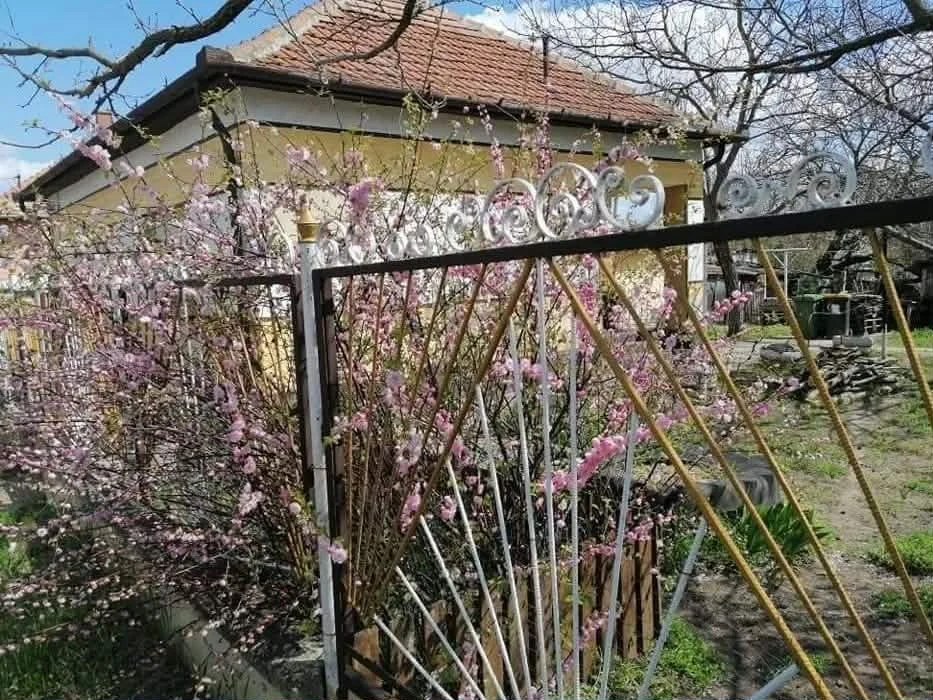 Eladó családi ház Tiszajenő
