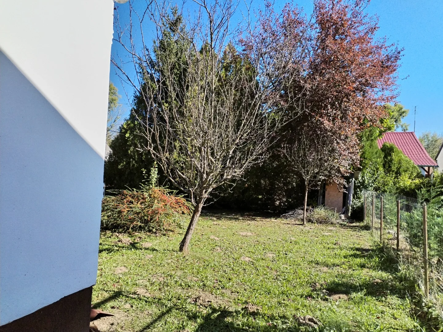 Eladó önálló nyaraló nyaraló / üdülő Csokonyavisonta Rózsa utca - Kép 3