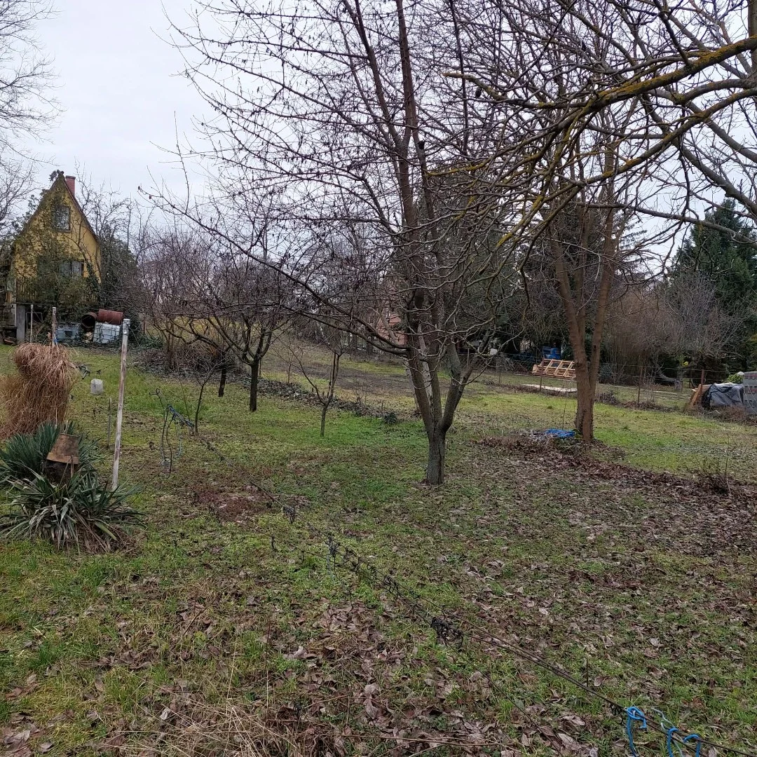 Eladó önálló nyaraló nyaraló / üdülő Kulcs - Kép 13