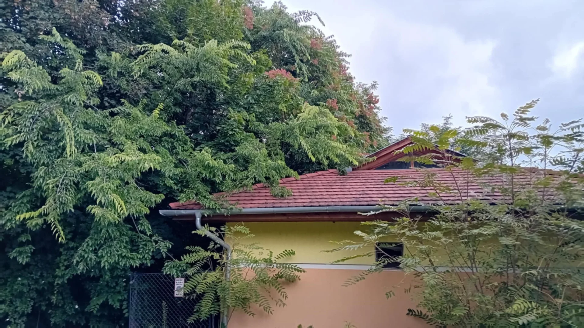 Eladó családi ház Zalaegerszeg - Kép 2