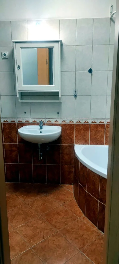 Kiadó tégla lakás Budapest 13. ker. Szent László - Kép 6