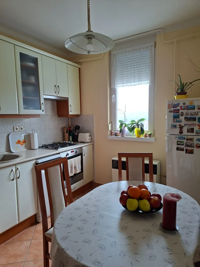 Eladó tégla lakás Szekszárd Bottyán-hegyi ltp. - Kép 7