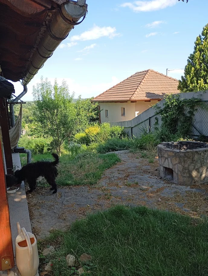 Eladó családi ház Bodrogkeresztúr Felső utca - Kép 13