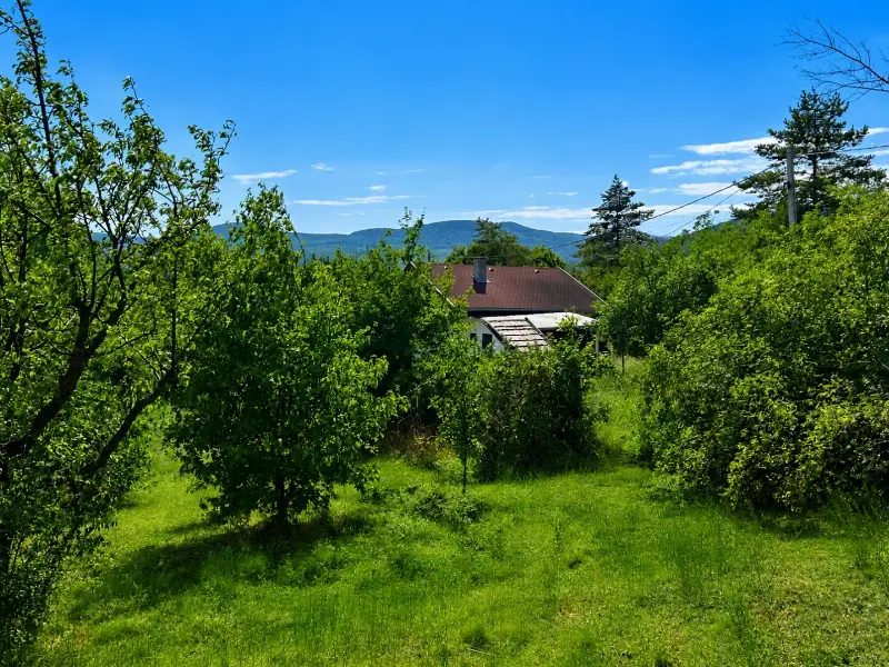 Eladó építési telek Szentendre Szarvashegyi út