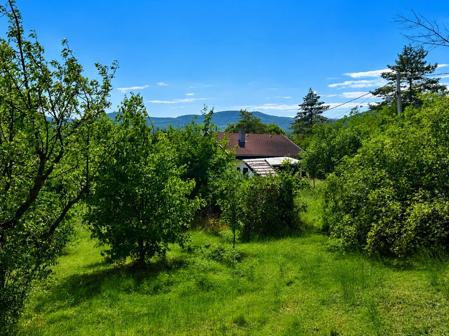 Eladó építési telek Szentendre Szarvashegyi út