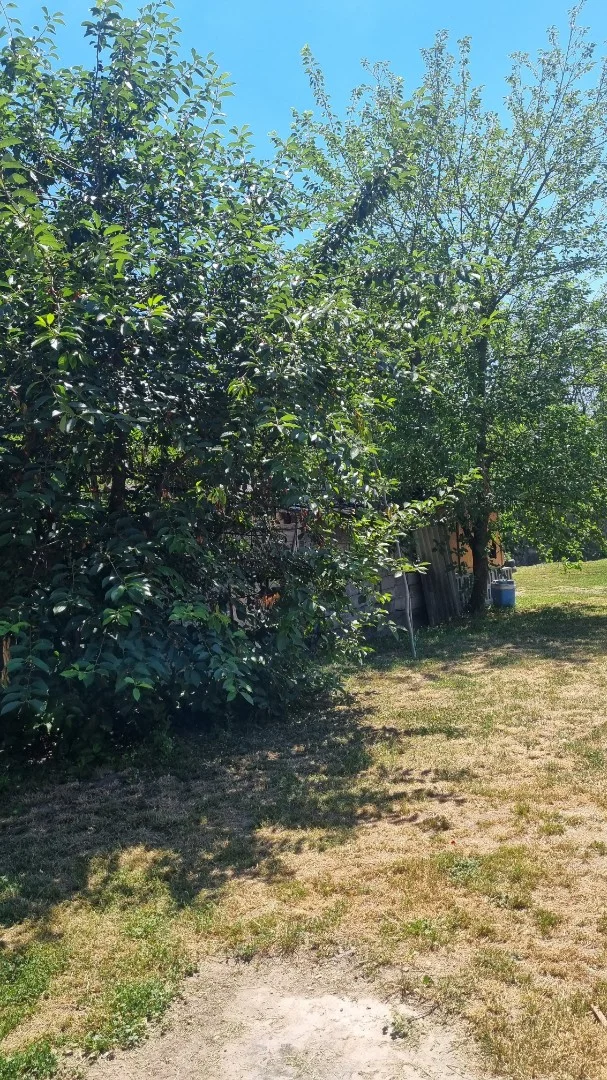 Eladó családi ház Bölcske I.Töltés utca - Kép 4