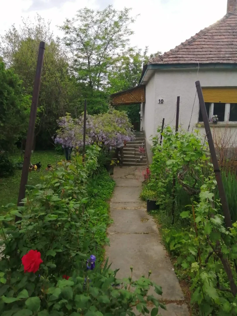 Eladó családi ház Nemesbük - Kép 4