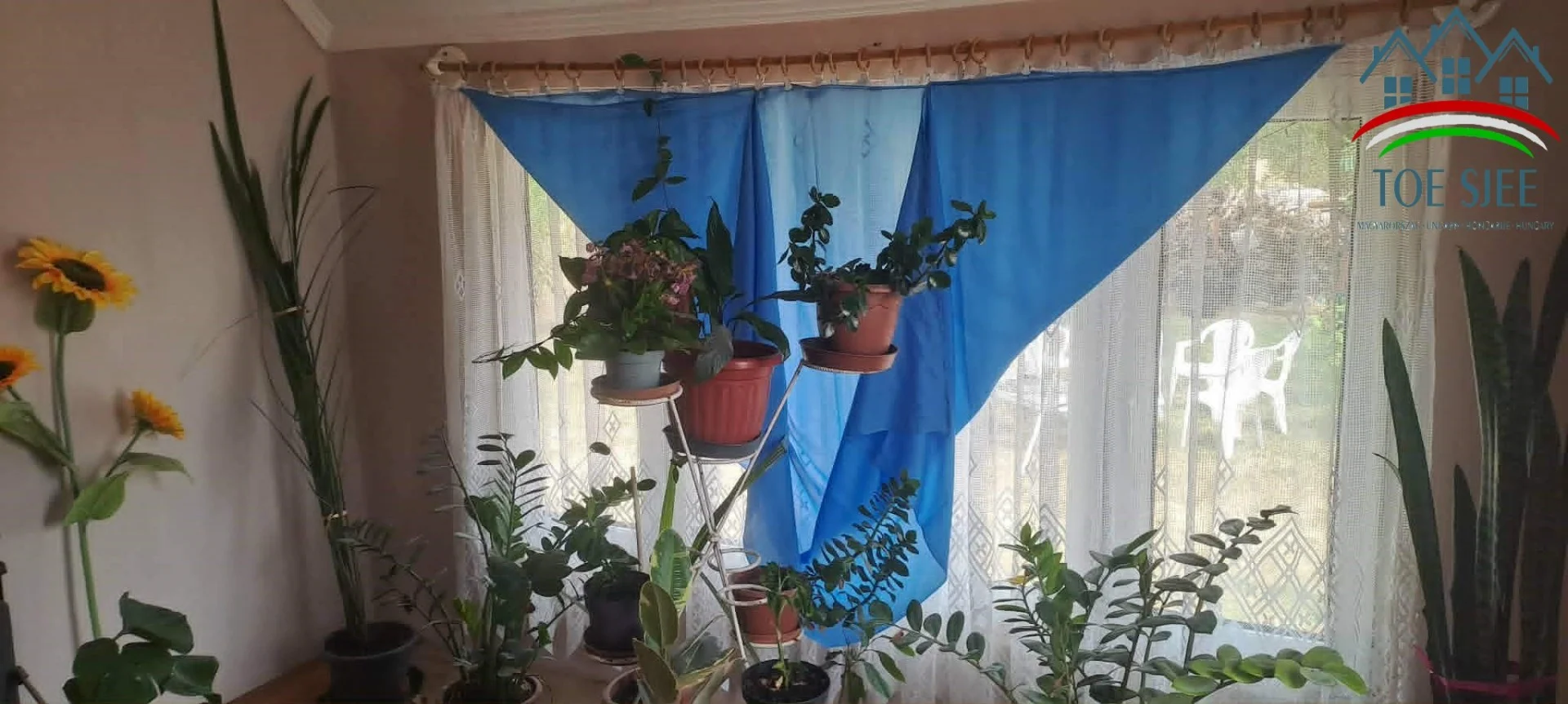 Eladó családi ház Abádszalók - Kép 6