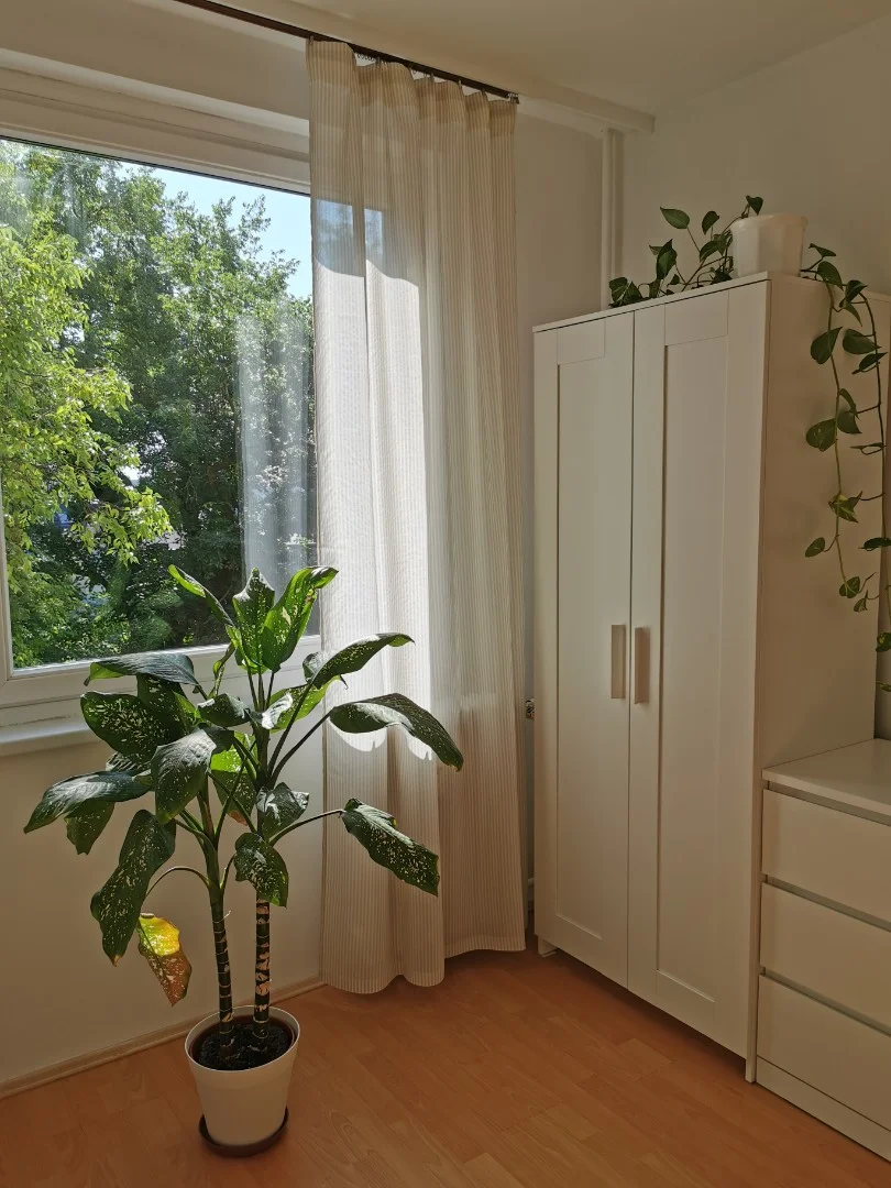 Kiadó panel lakás Debrecen Darabos utca - Kép 2