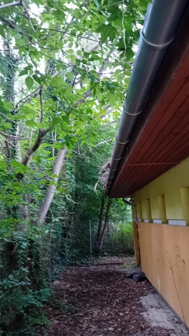 Eladó családi ház Zalaegerszeg - Kép 3