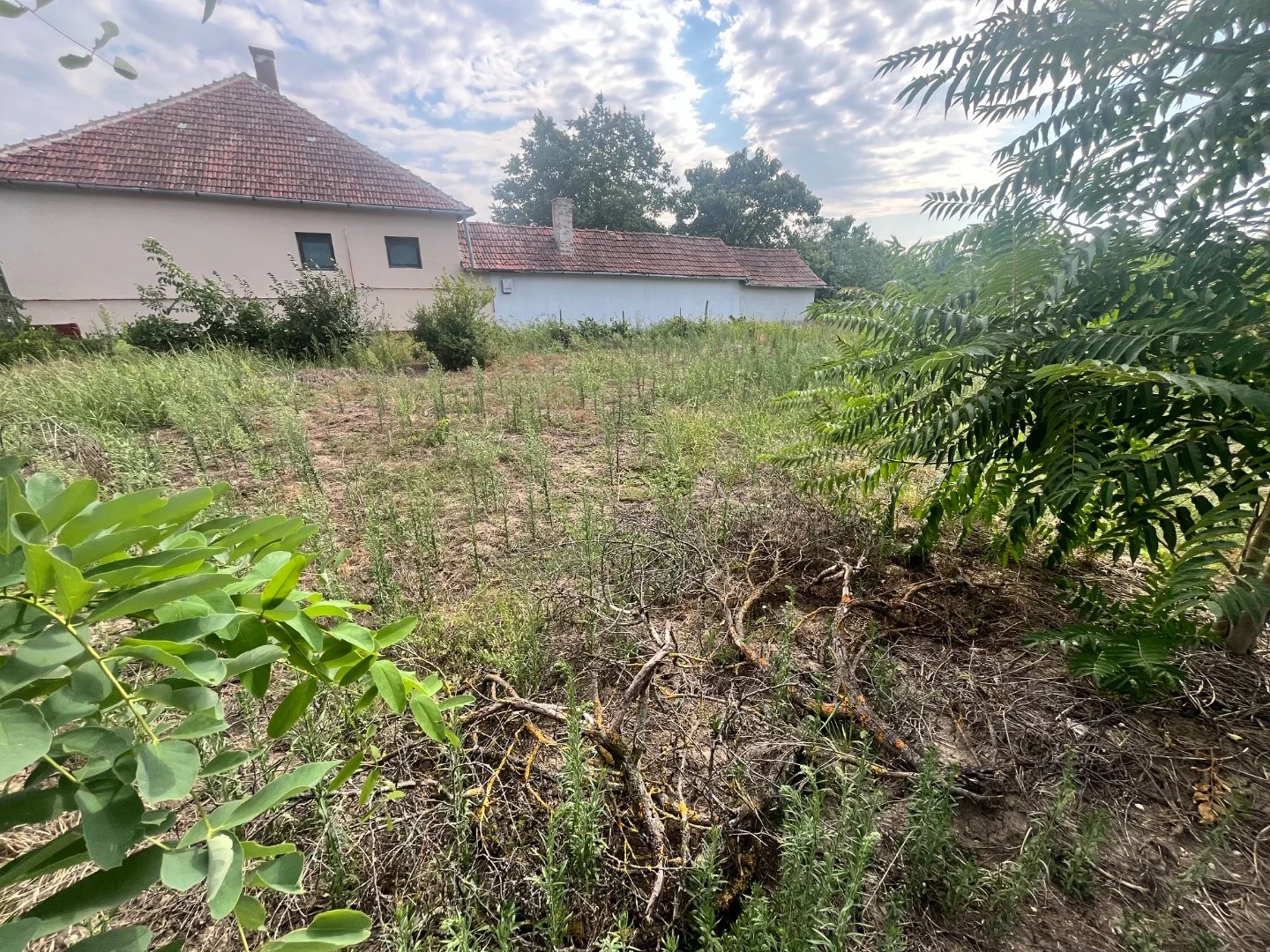 Eladó családi ház Sarkad - Kép 16