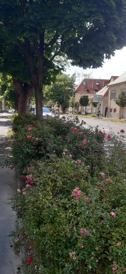 Eladó tégla lakás Keszthely Georgikon utca - Kép 11