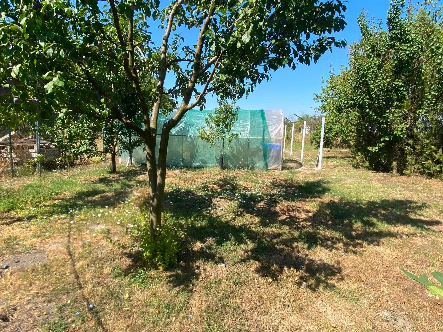 Eladó önálló nyaraló nyaraló / üdülő Dunavecse - Kép 15