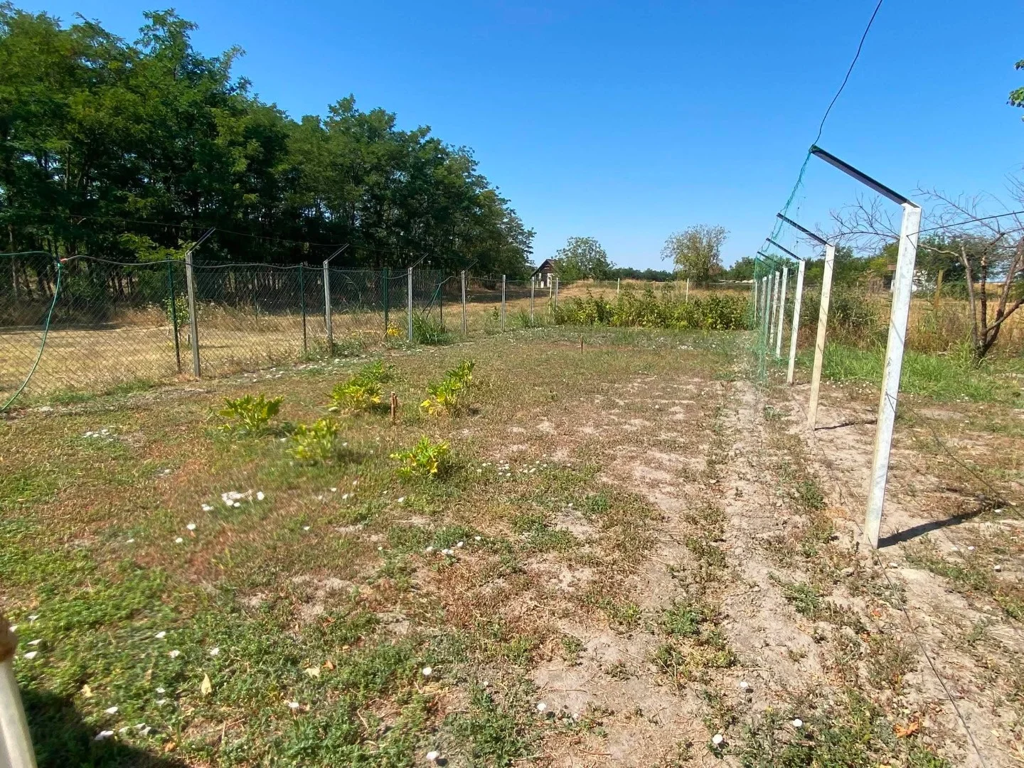 Eladó önálló nyaraló nyaraló / üdülő Dunavecse - Kép 17