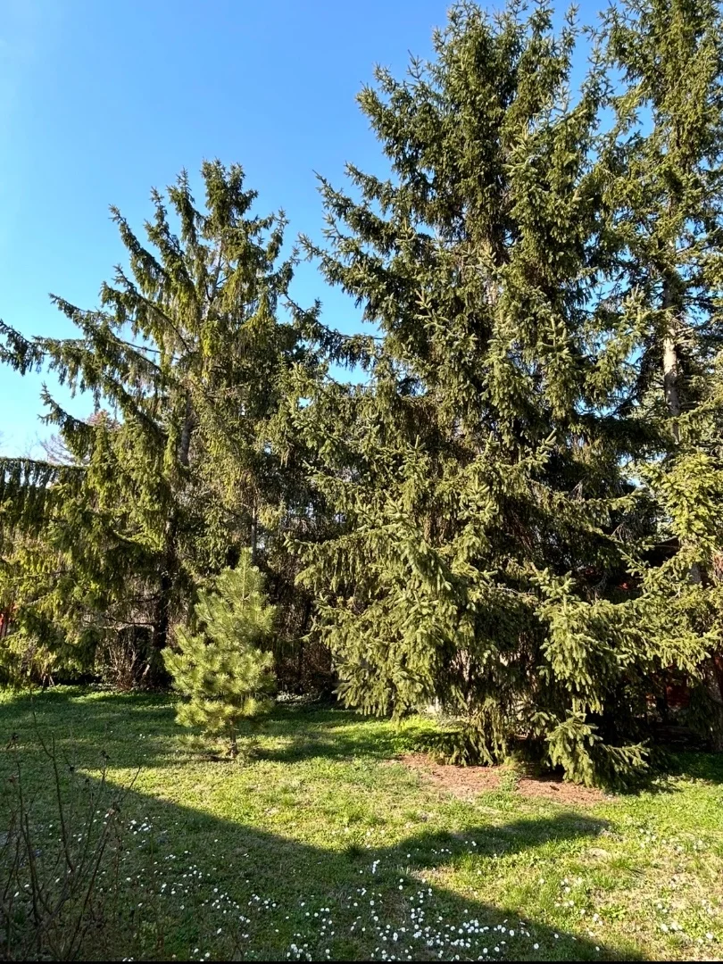 Eladó önálló nyaraló nyaraló / üdülő Balatonkenese - Kép 3