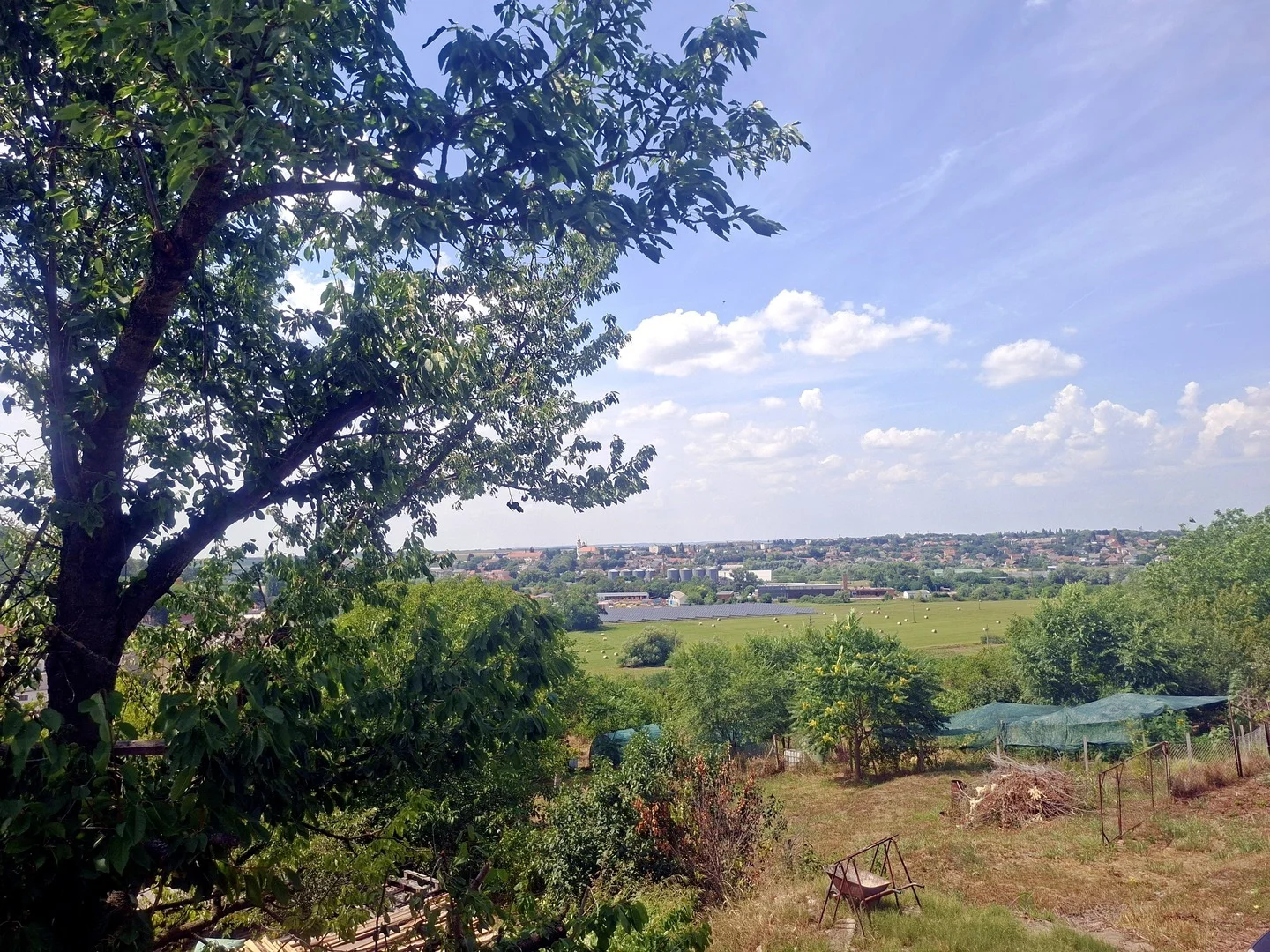 Eladó mezőgazdaság Tamási Tamási - Kép 8