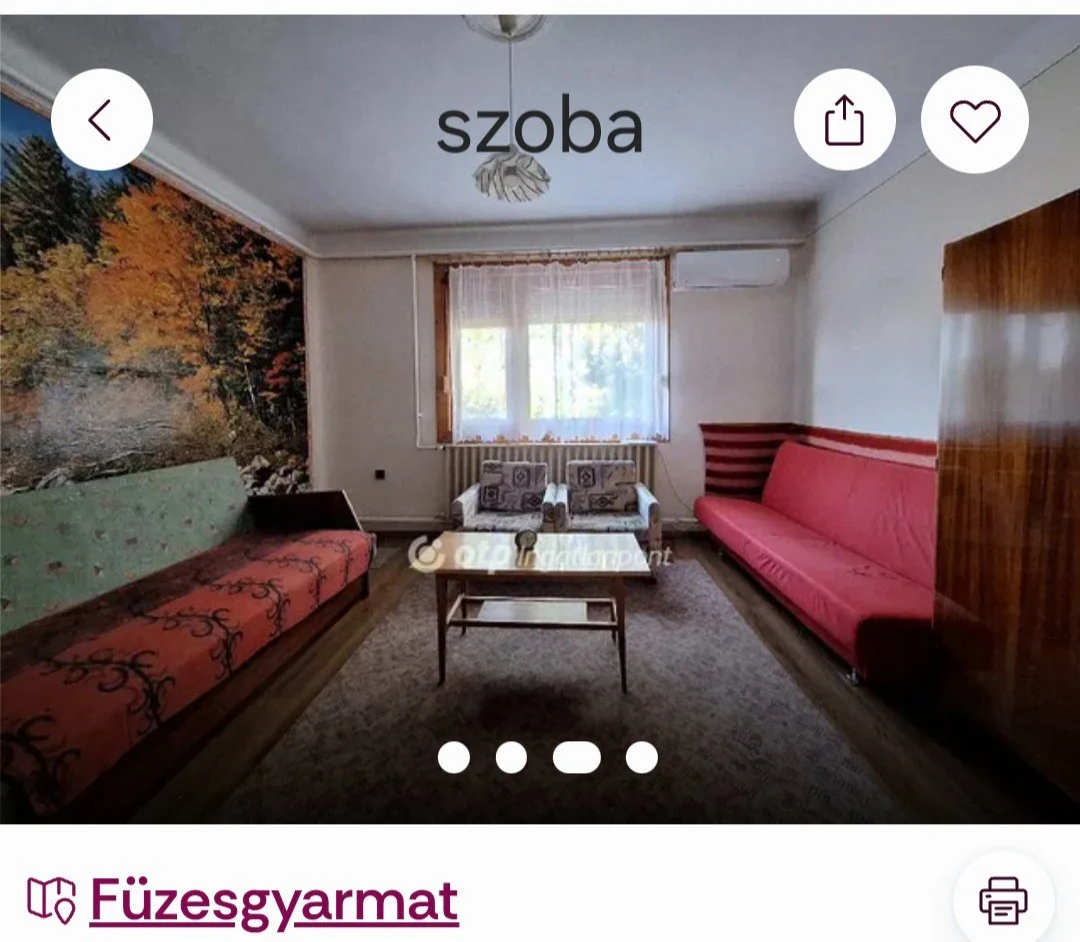Eladó családi ház Füzesgyarmat Bihari utca - Kép 4