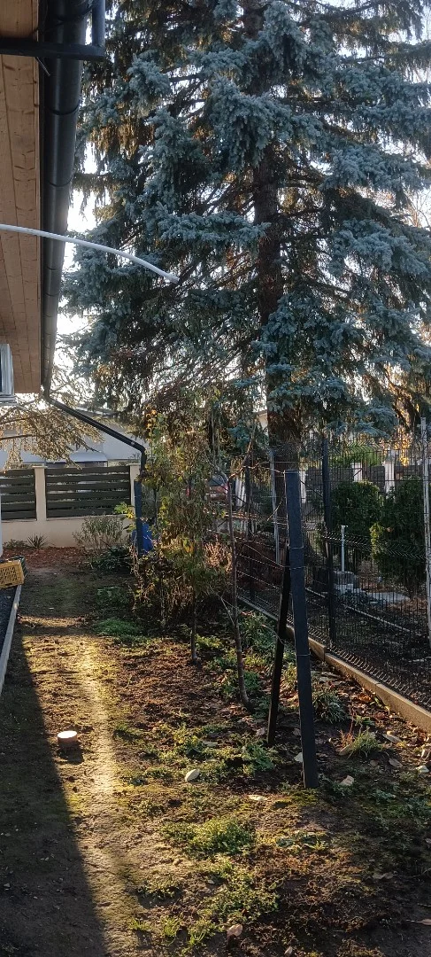 Eladó családi ház Siófok - Kép 3