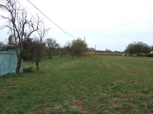 Eladó mezőgazdaság Gyula Kálvária - Kép 4