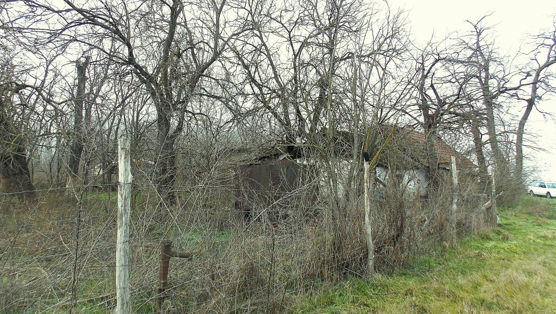 Eladó mezőgazdaság Pusztaszer - Kép 7