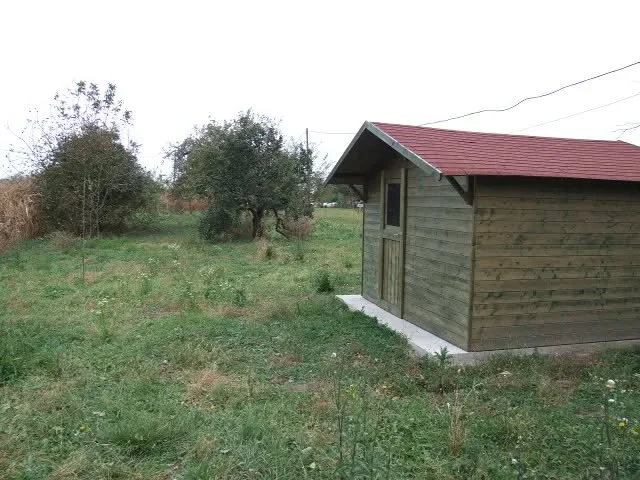 Eladó mezőgazdaság Gyula Kálvária - Kép 5