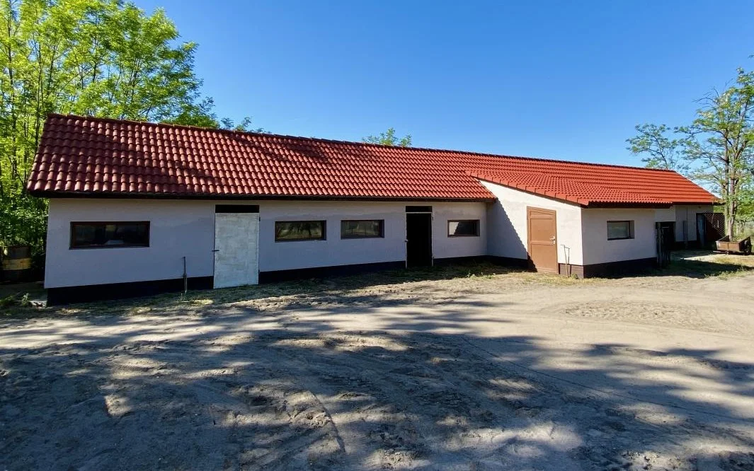 Eladó mezőgazdaság Kiskunmajsa - Kép 8