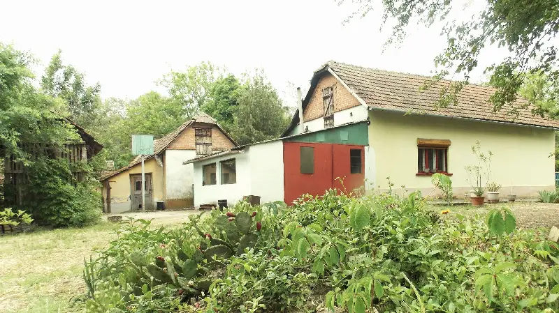 Eladó mezőgazdaság Pálmonostora