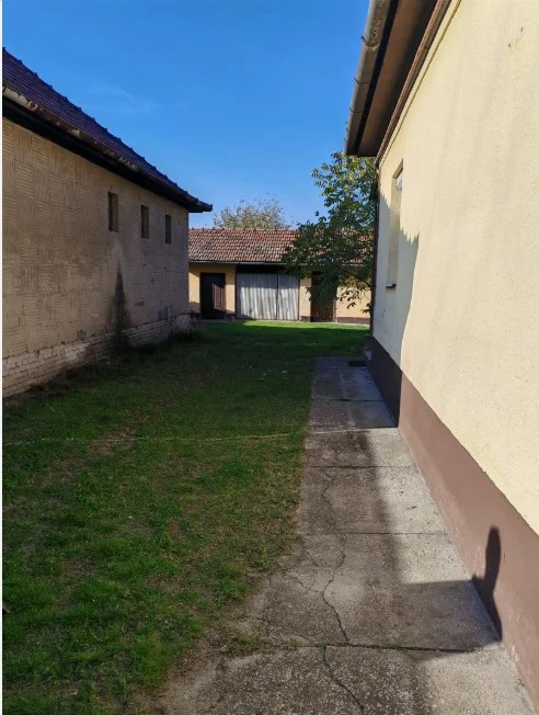 Eladó családi ház Kelebia Bajcsy Zsilinszky Utca - Kép 3