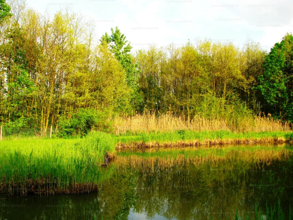 Eladó nyaraló / üdülő Gyula Sarkadi út - Kép 5
