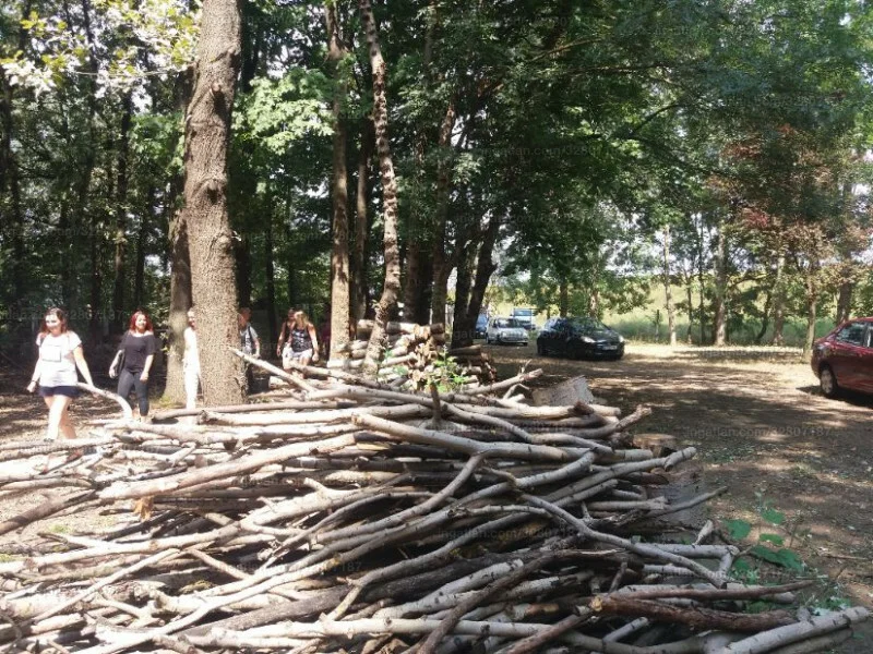 Eladó nyaraló / üdülő Gyula Sarkadi út - Kép 2