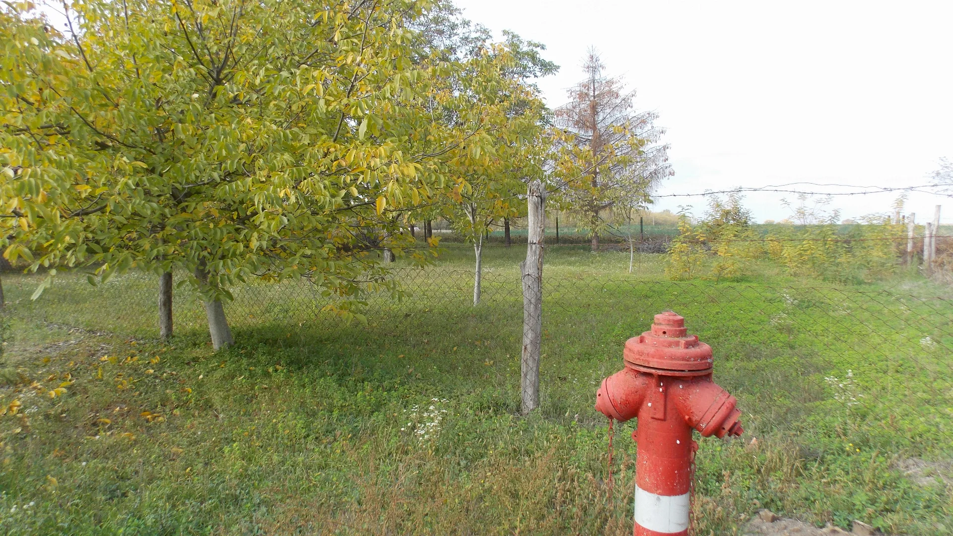 Eladó ház Kiskunfélegyháza - Kép 8