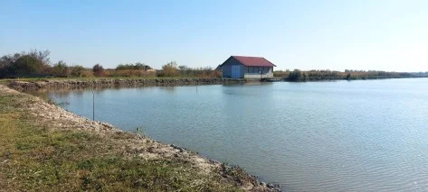 Eladó mezőgazdaság Gyula Külterület