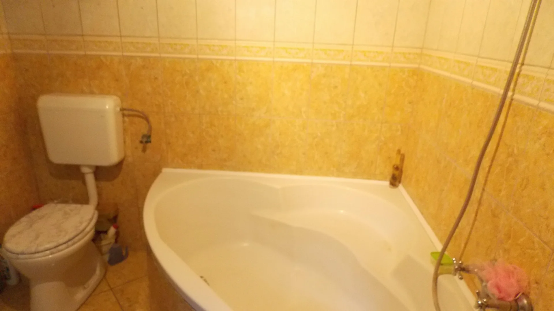 Eladó mezőgazdaság Pálmonostora - Kép 7
