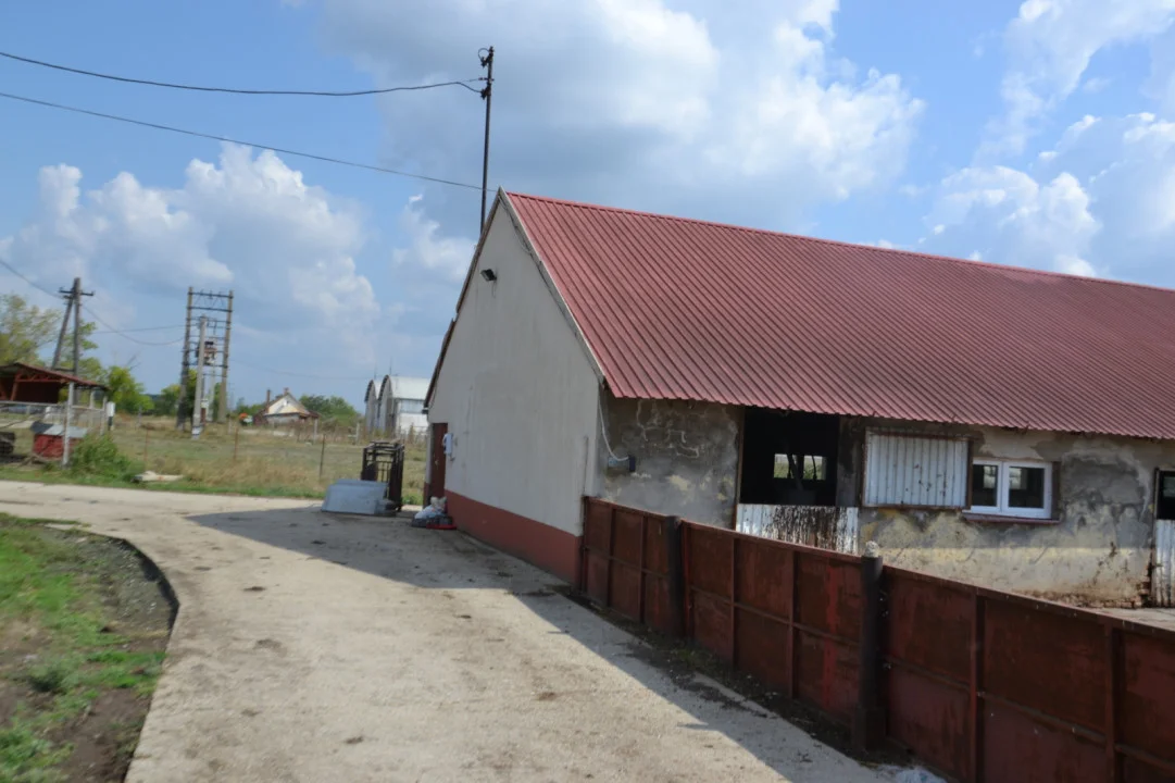 Eladó mezőgazdaság Szolnok Külterület - Kép 3