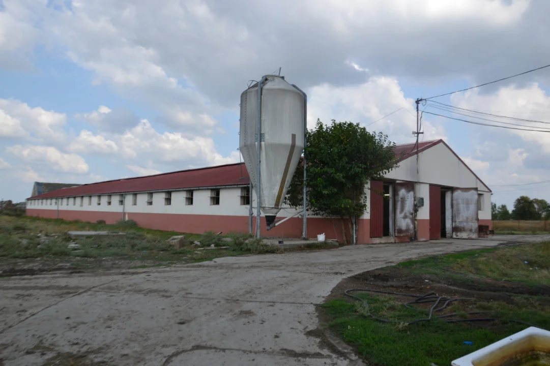 Eladó mezőgazdaság Szolnok Külterület - Kép 4